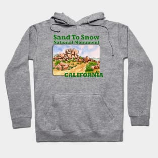 Sand To Snow National Monument, California Hoodie